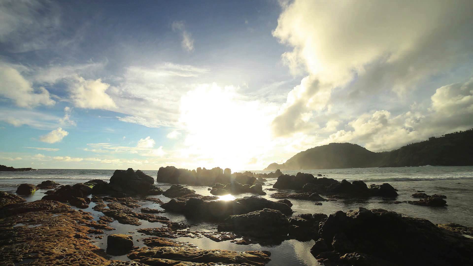 Joybiz Kota Yogyakarta