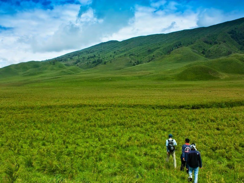 Bukit Teletubbies Bromo