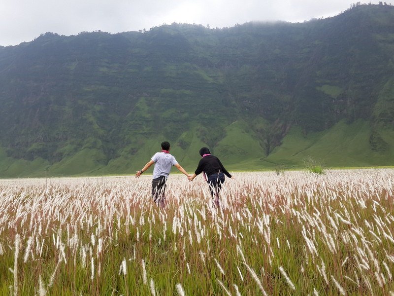 Padang Savana Bromo