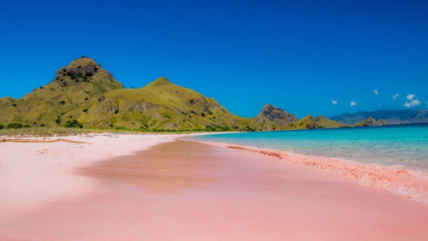 Pantai Pink Lombok Pantai Pink Lombok - Dolan Dolen