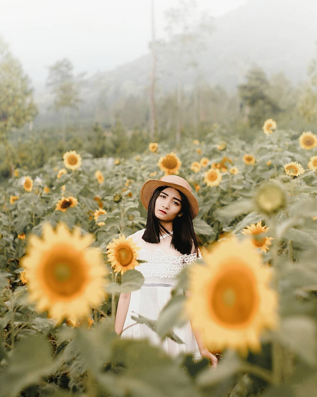 Taman Bunga Matahari, Kota Batu, Malang Raya, Dolan Dolen, Dolaners Taman Bunga Matahari by royfatkhur - Dolan Dolen