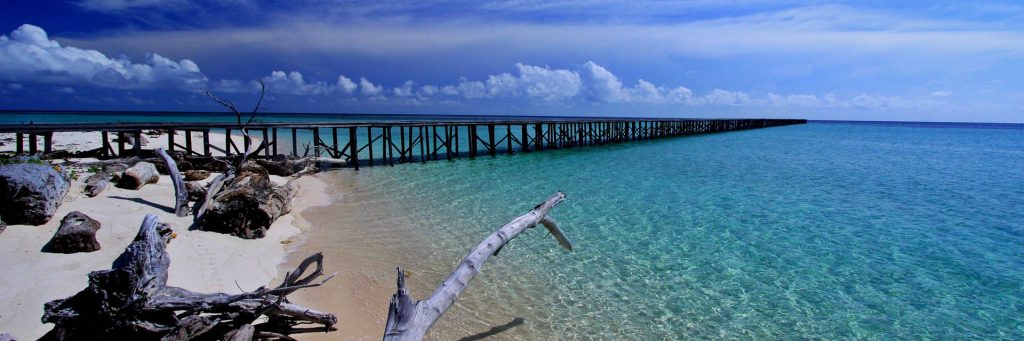 10 Kegiatan Seru yang Bisa Dolaners Lakukan Di Kepulauan Derawan svg xml  3Csvg 20viewBox 3D 270 200 201024 20341 27 20xmlns 3D 27http 3A 2F 2Fwww - Dolan Dolen
