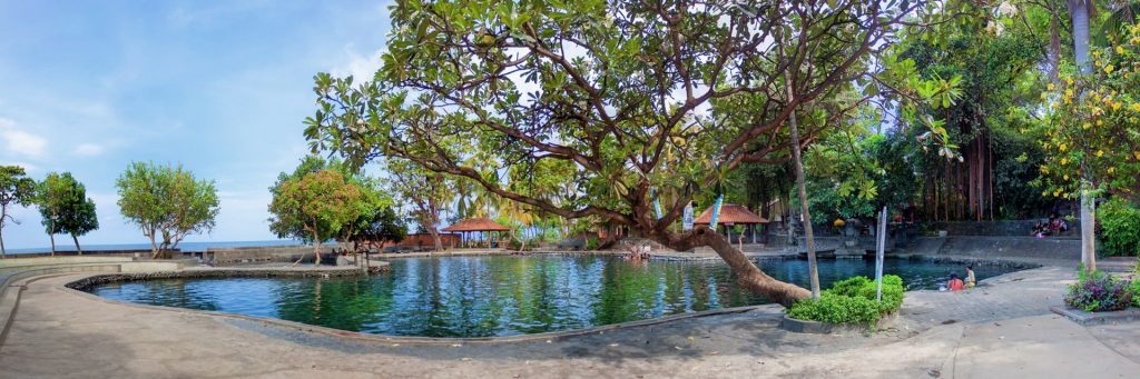 svg xml  3Csvg 20viewBox 3D 270 200 201024 20341 27 20xmlns 3D 27http 3A 2F 2Fwww - Dolan Dolen