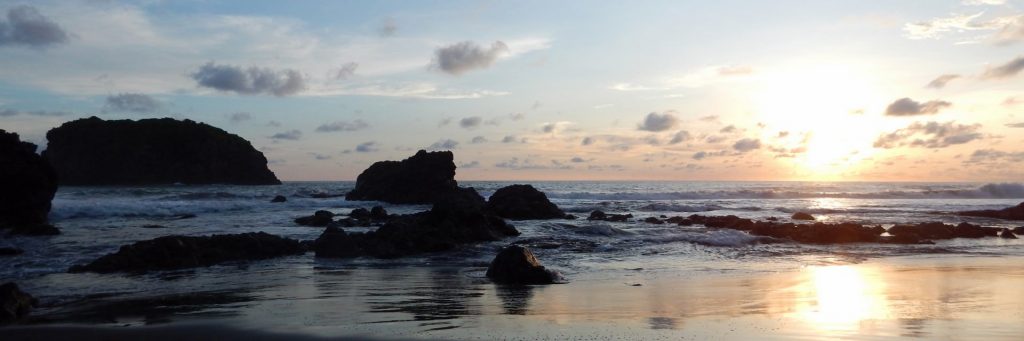 svg xml  3Csvg 20viewBox 3D 270 200 201024 20341 27 20xmlns 3D 27http 3A 2F 2Fwww - Dolan Dolen