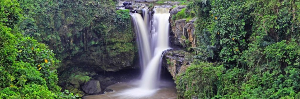 16 Air Terjun Tersembunyi di Bali svg xml  3Csvg 20viewBox 3D 270 200 201024 20341 27 20xmlns 3D 27http 3A 2F 2Fwww - Dolan Dolen