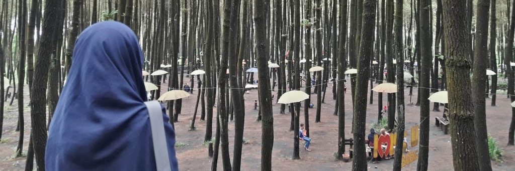 4 Wisata Hutan Pinus Ter-Hits di Kota Malang svg xml  3Csvg 20viewBox 3D 270 200 201024 20341 27 20xmlns 3D 27http 3A 2F 2Fwww - Dolan Dolen