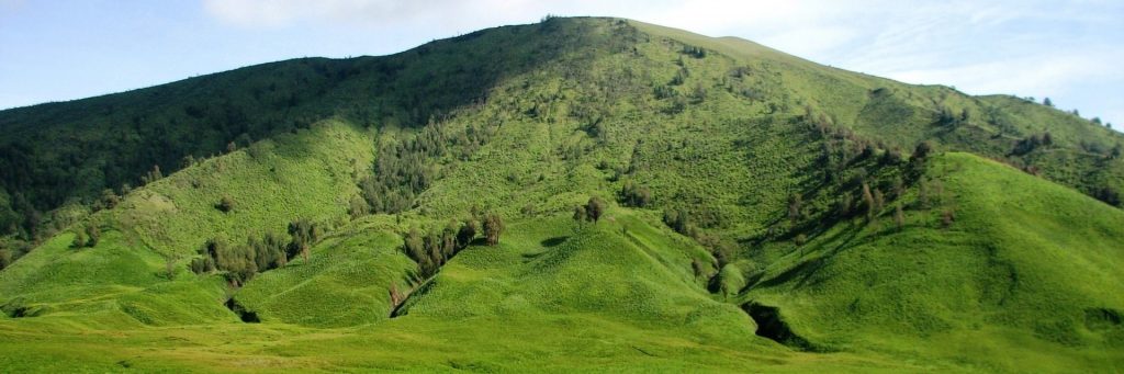 Bukit Instagenic di Malang svg xml  3Csvg 20viewBox 3D 270 200 201024 20341 27 20xmlns 3D 27http 3A 2F 2Fwww - Dolan Dolen