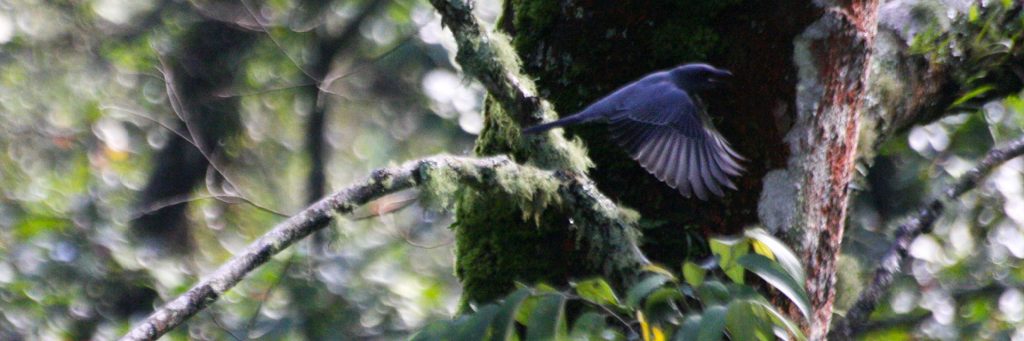 Cangar, Malang Raya, Dolan Dolen, Dolaners svg xml  3Csvg 20viewBox 3D 270 200 201024 20341 27 20xmlns 3D 27http 3A 2F 2Fwww - Dolan Dolen