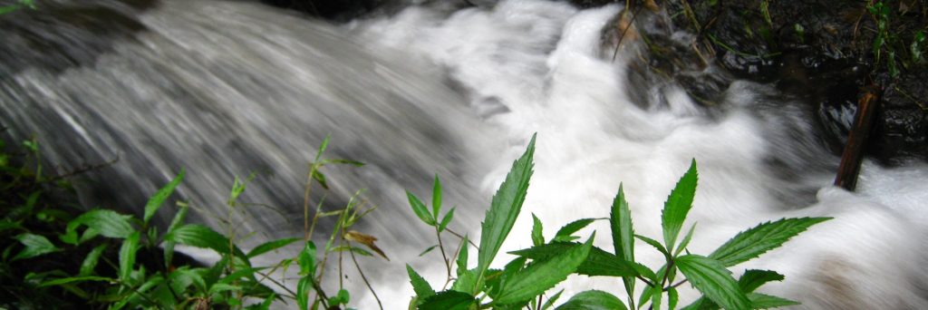 Coban di Malang via CHEYUANITA svg xml  3Csvg 20viewBox 3D 270 200 201024 20342 27 20xmlns 3D 27http 3A 2F 2Fwww - Dolan Dolen