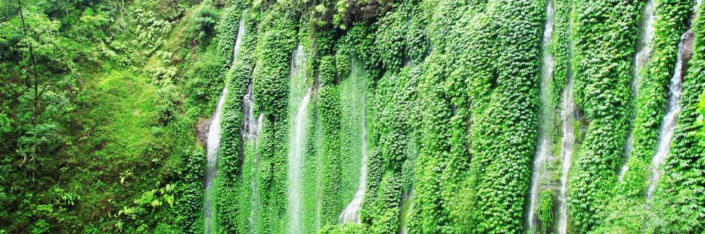 Coban di Malang, Malang, Kabupaten Malang, Dolan Dolen, Dolaners svg xml  3Csvg 20viewBox 3D 270 200 201024 20341 27 20xmlns 3D 27http 3A 2F 2Fwww - Dolan Dolen