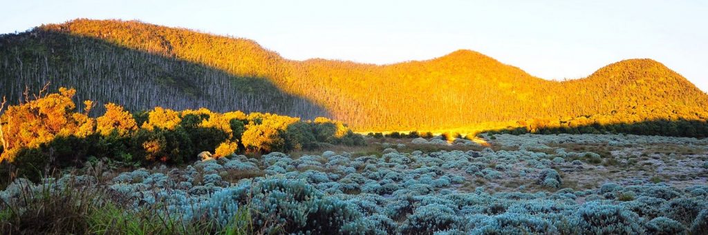 Gunung Papandayan Mahakarya Luar Biasa Tuhan Untuk Pasundan svg xml  3Csvg 20viewBox 3D 270 200 201024 20341 27 20xmlns 3D 27http 3A 2F 2Fwww - Dolan Dolen