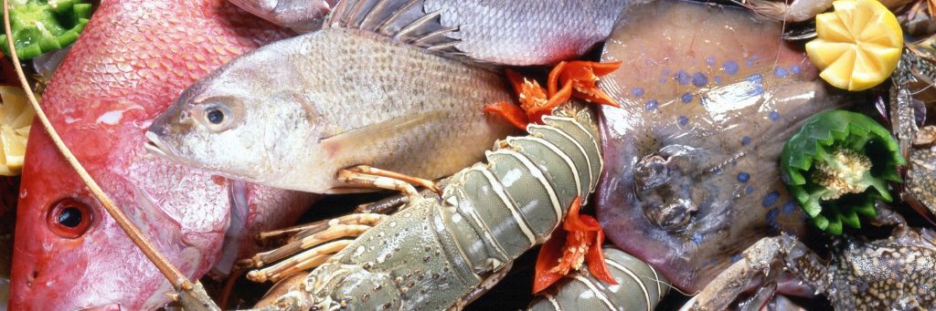 Kuliner Seafood Malang, Kota Malang, Dolan Dolen, Dolaners svg xml  3Csvg 20viewBox 3D 270 200 201024 20341 27 20xmlns 3D 27http 3A 2F 2Fwww - Dolan Dolen