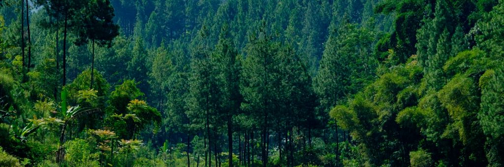 Ledok Ombo Malang, Kabupaten Malang, Dolan Dolen, Dolaners svg xml  3Csvg 20viewBox 3D 270 200 201024 20341 27 20xmlns 3D 27http 3A 2F 2Fwww - Dolan Dolen