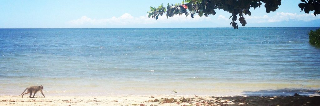 Pantai Krambilan, Malang, Kabupaten Malang, Dolan Dolen, Dolaners svg xml  3Csvg 20viewBox 3D 270 200 201024 20341 27 20xmlns 3D 27http 3A 2F 2Fwww - Dolan Dolen