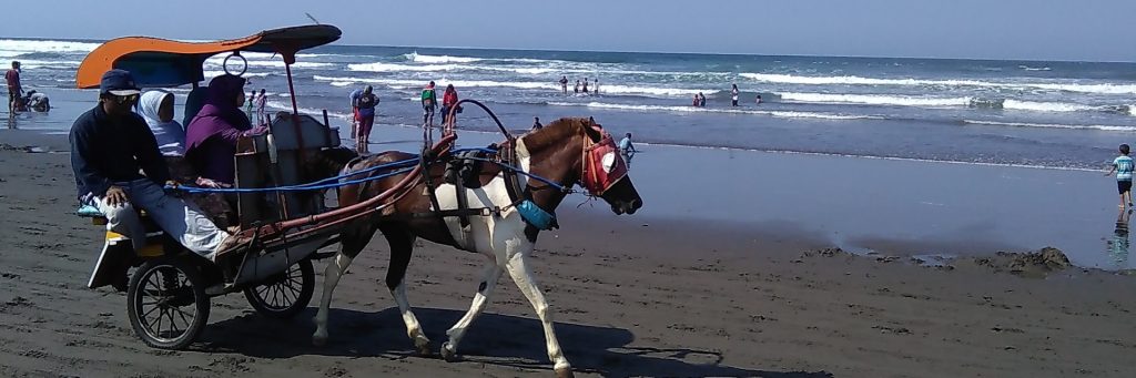 Pantai Parangtritis Jogja, Yogyakarta, Dolan Dolen, Dolaners svg xml  3Csvg 20viewBox 3D 270 200 201024 20341 27 20xmlns 3D 27http 3A 2F 2Fwww - Dolan Dolen