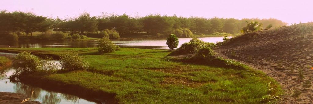 Pantai Rowo Kebumen Menyimpan Kebudayaan Unik svg xml  3Csvg 20viewBox 3D 270 200 201024 20341 27 20xmlns 3D 27http 3A 2F 2Fwww - Dolan Dolen