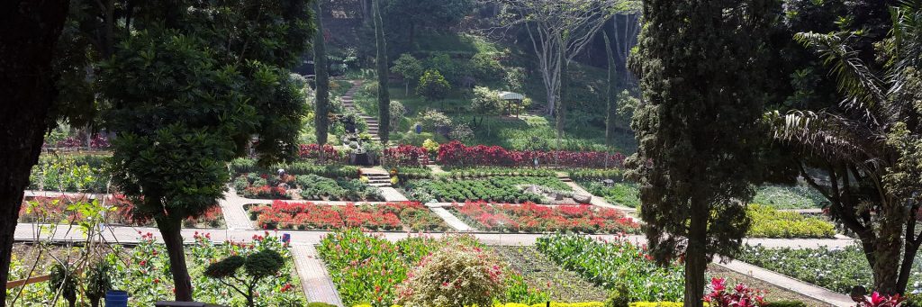 Taman Bunga Malang, Malang Raya, Dolan Dolen, Dolaners svg xml  3Csvg 20viewBox 3D 270 200 201024 20341 27 20xmlns 3D 27http 3A 2F 2Fwww - Dolan Dolen