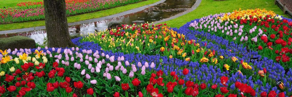 Taman Bunga di Bandung, Taman Bunga, Bandung, Kota Bandung, Dolan Dolen, Dolaners svg xml  3Csvg 20viewBox 3D 270 200 201024 20341 27 20xmlns 3D 27http 3A 2F 2Fwww - Dolan Dolen