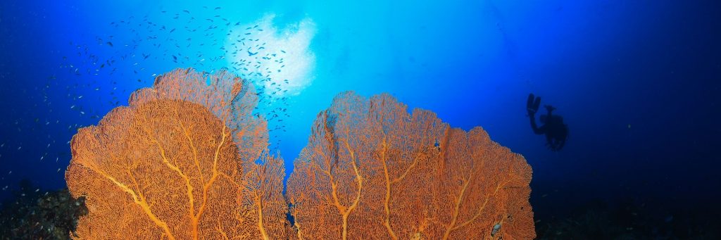 Taman Laut Pulau Rubiah Si Cantik Kota Sabang svg xml  3Csvg 20viewBox 3D 270 200 201024 20341 27 20xmlns 3D 27http 3A 2F 2Fwww - Dolan Dolen