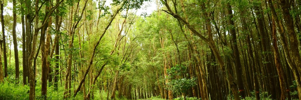 Wisata Bantul Jogja, Yogyakarta, Kota Yogyakarta, Dolan Dolen, Dolaners svg xml  3Csvg 20viewBox 3D 270 200 201024 20341 27 20xmlns 3D 27http 3A 2F 2Fwww - Dolan Dolen